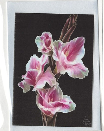 Note Cards - Assorted
