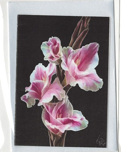 Note Cards - Assorted