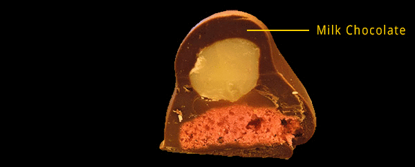 opihi-animated-new2 Kauai Chocolate - Opihi